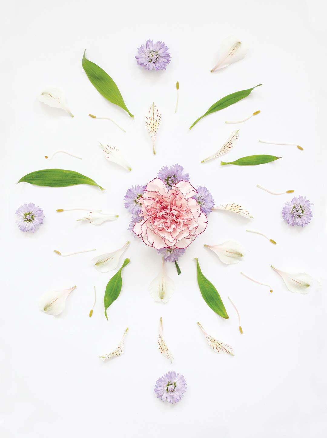 Patrón de Flores Patrón de Flores