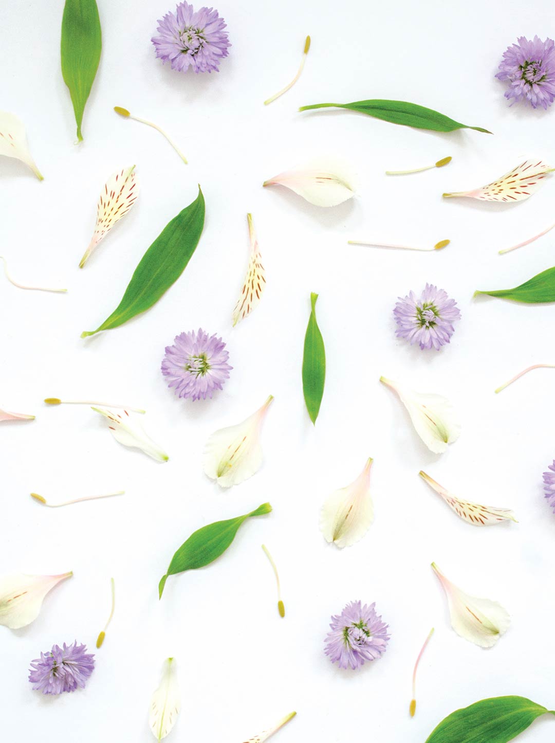 Patrón de Flores Patrón de Flores