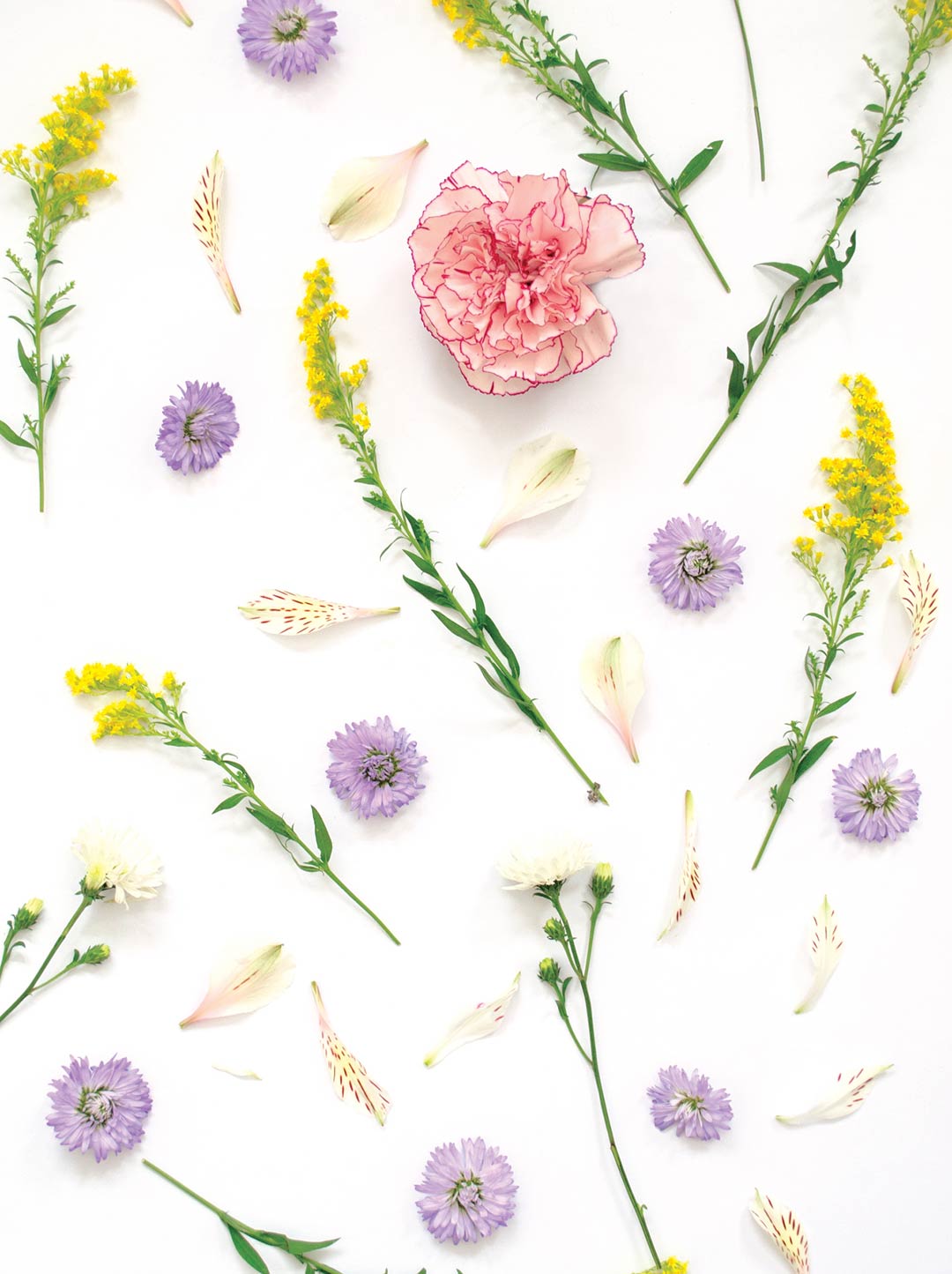 Patrón de Flores Patrón de Flores