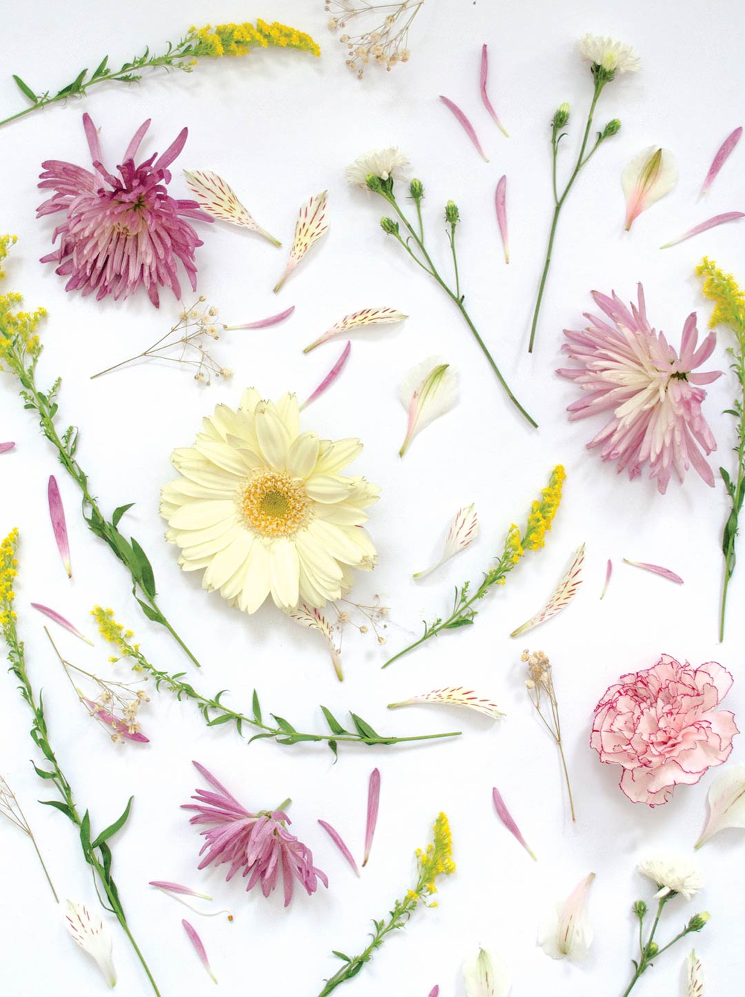 Patrón de Flores Patrón de Flores