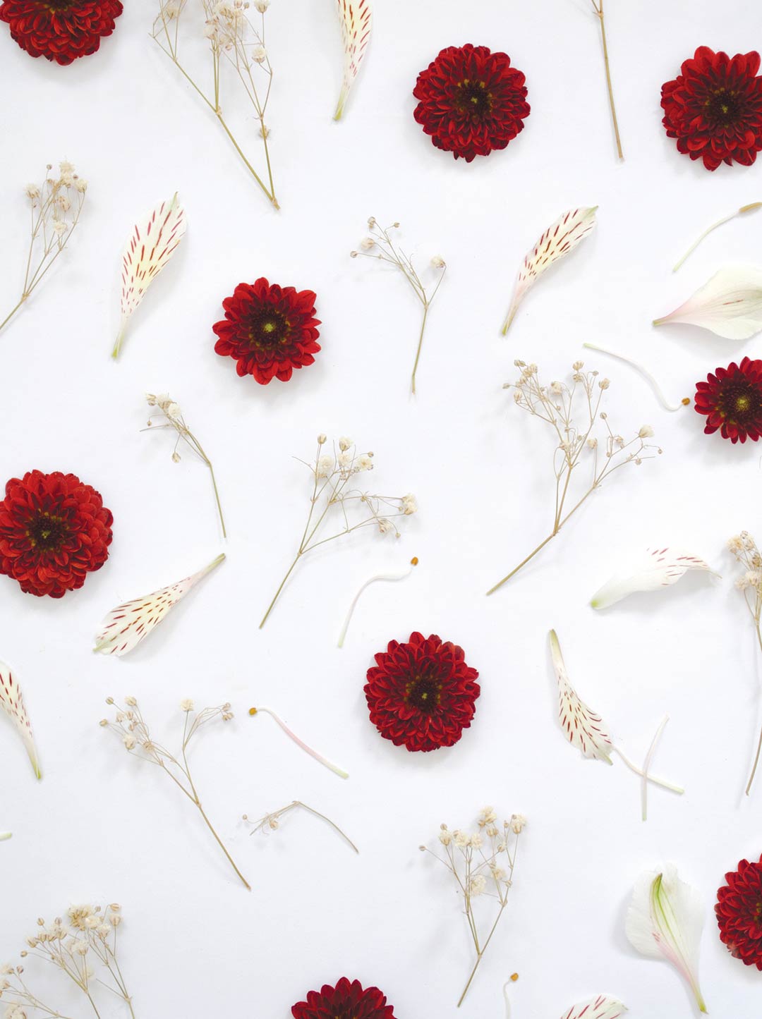 Patrón de Flores Patrón de Flores