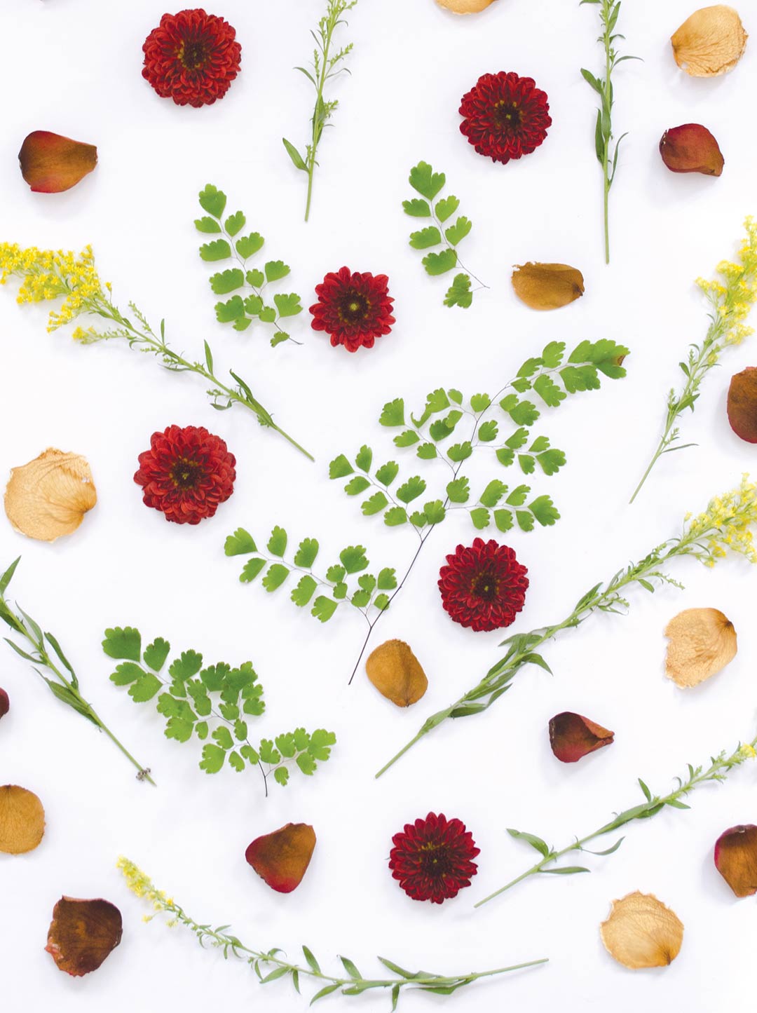 Patrón de Flores Patrón de Flores