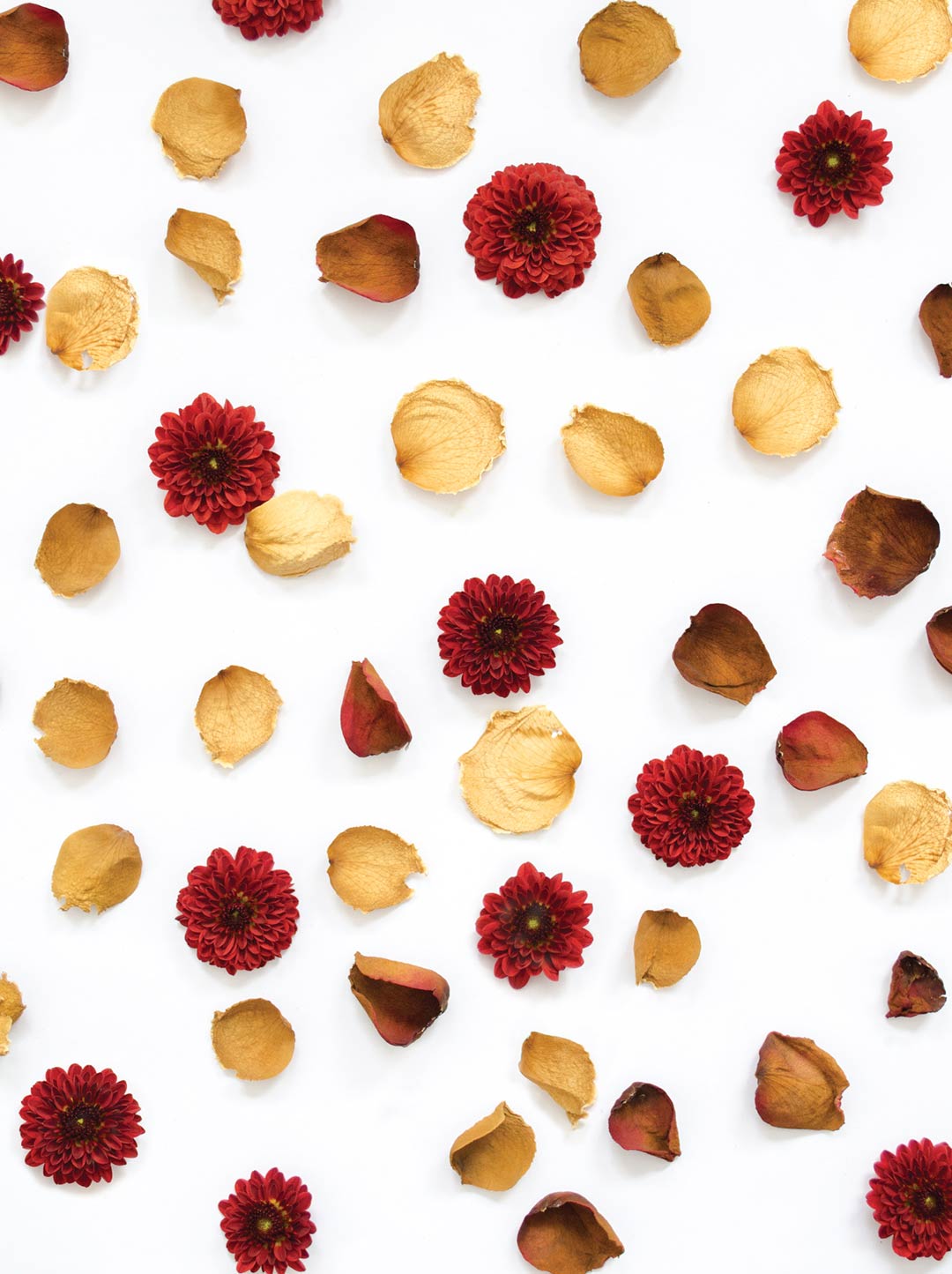 Patrón de Flores Patrón de Flores